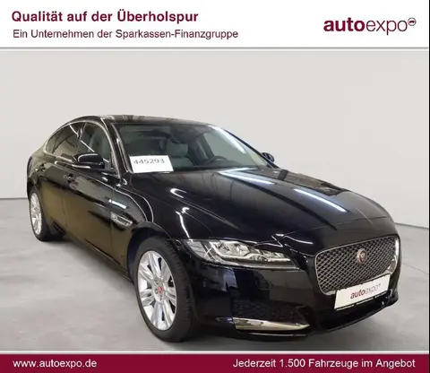 Annonce JAGUAR XF Diesel 2019 d'occasion 