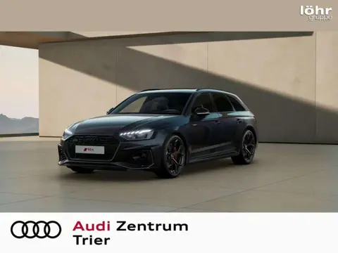 Annonce AUDI RS4 Essence 2024 d'occasion 