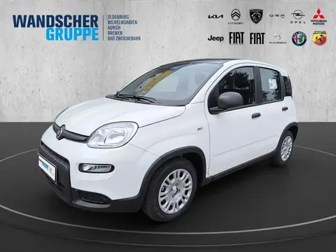 Annonce FIAT PANDA Essence 2024 d'occasion 