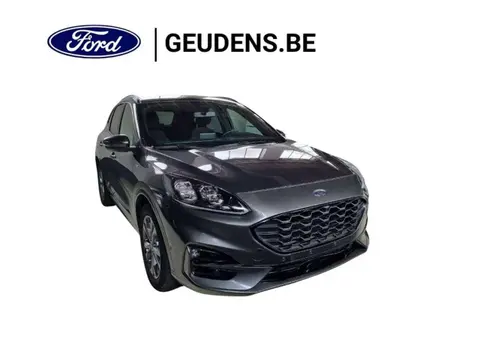 Annonce FORD KUGA Hybride 2022 d'occasion 