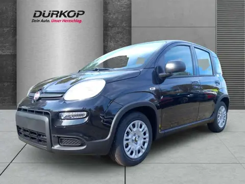 Used FIAT PANDA Hybrid 2024 Ad 