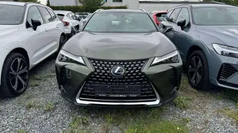 Annonce LEXUS UX Hybride 2019 d'occasion 