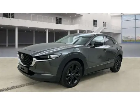 Annonce MAZDA CX-30 Essence 2022 d'occasion 