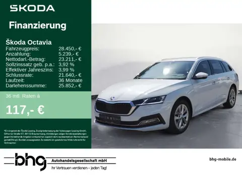 Annonce SKODA OCTAVIA Diesel 2023 d'occasion 