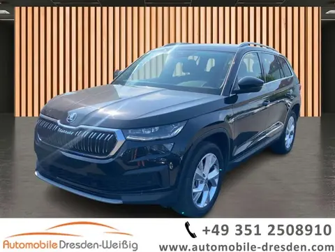 Used SKODA KODIAQ Petrol 2024 Ad 