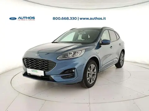 Used FORD KUGA Hybrid 2024 Ad 