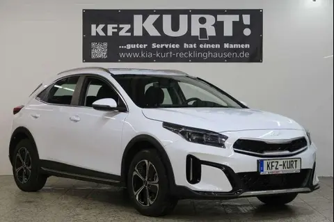 Used KIA XCEED Hybrid 2023 Ad 