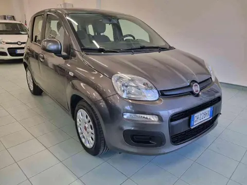 Annonce FIAT PANDA Hybride 2021 d'occasion 