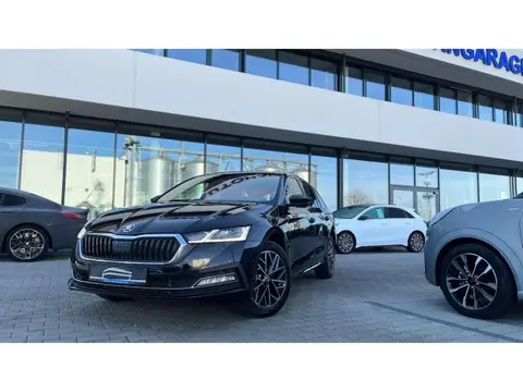 Annonce SKODA OCTAVIA Essence 2023 d'occasion 