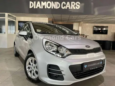 Used KIA RIO Petrol 2015 Ad 