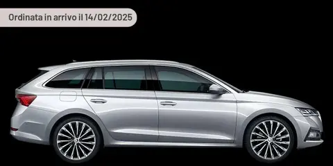 Annonce SKODA OCTAVIA Diesel 2024 d'occasion 