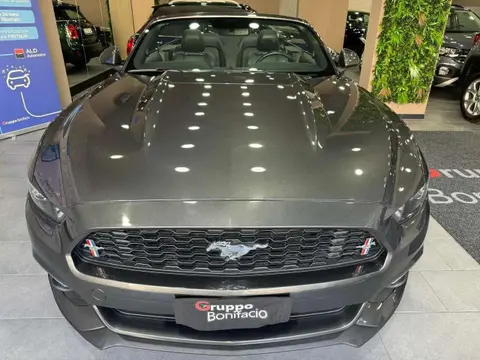 Used FORD MUSTANG Petrol 2018 Ad 