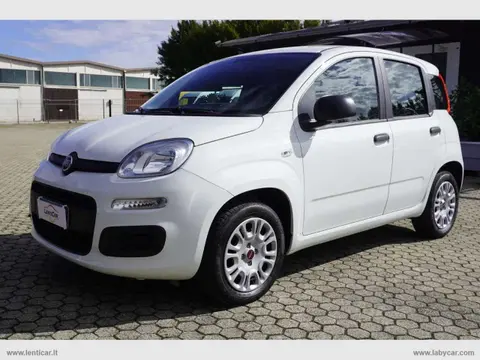 Used FIAT PANDA Petrol 2019 Ad 