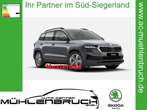 Used SKODA KAROQ Petrol 2024 Ad 