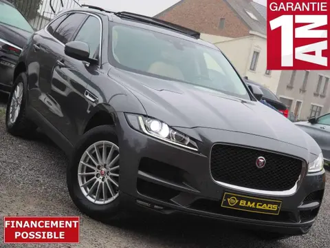 Used JAGUAR F-PACE Diesel 2016 Ad 