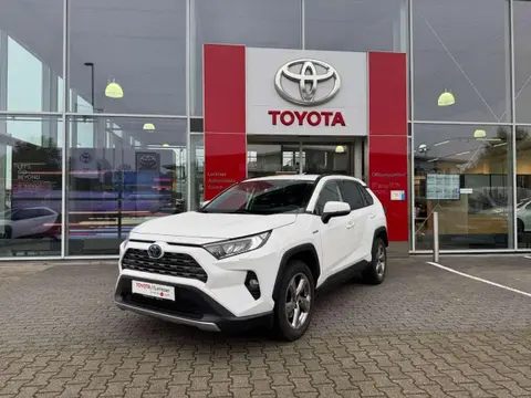 Used TOYOTA RAV4 Hybrid 2020 Ad 