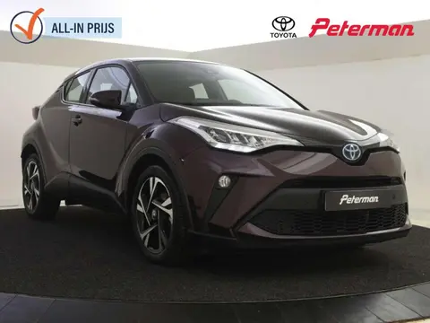 Used TOYOTA C-HR Hybrid 2023 Ad 