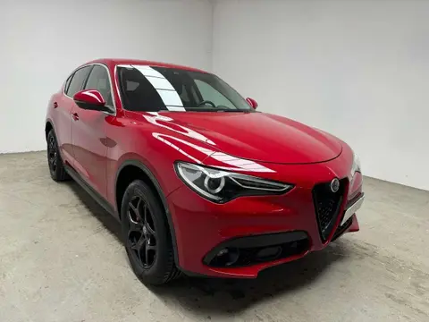 Used ALFA ROMEO STELVIO Diesel 2019 Ad 