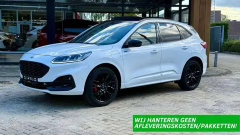 Annonce FORD KUGA Hybride 2023 d'occasion 