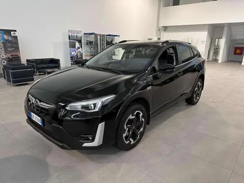 Annonce SUBARU XV Hybride 2023 d'occasion 