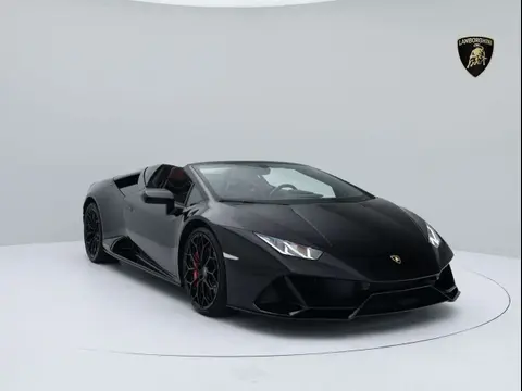 Used LAMBORGHINI HURACAN Petrol 2021 Ad 