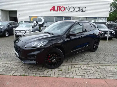 Used FORD KUGA Hybrid 2023 Ad 