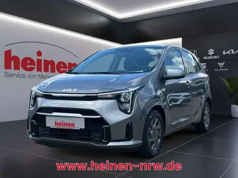 Annonce KIA PICANTO Essence 2024 d'occasion 