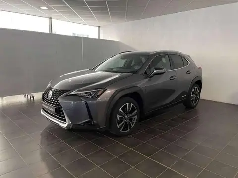 Used LEXUS UX Hybrid 2020 Ad 