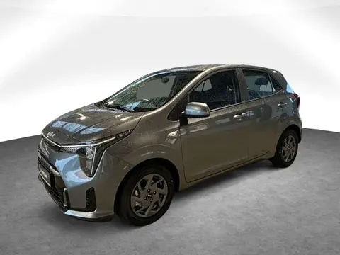 Annonce KIA PICANTO Essence 2024 d'occasion 