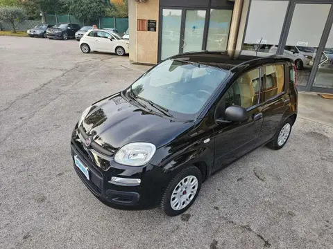 Used FIAT PANDA Petrol 2019 Ad 