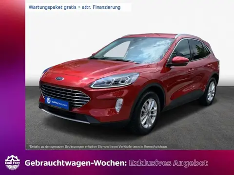 Annonce FORD KUGA Diesel 2023 d'occasion 