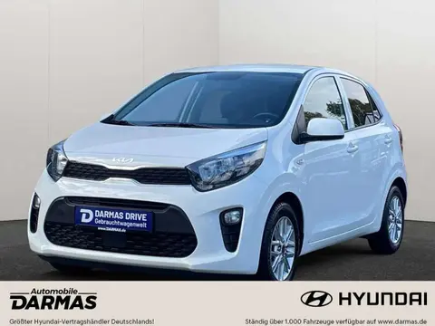 Used KIA PICANTO Petrol 2024 Ad 