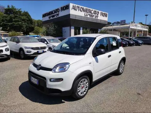 Annonce FIAT PANDA Hybride 2024 d'occasion 