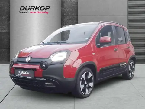 Annonce FIAT PANDA Essence 2024 d'occasion 