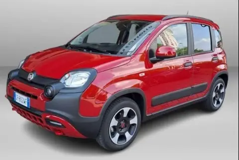 Used FIAT PANDA Hybrid 2023 Ad 