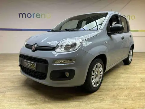 Annonce FIAT PANDA Essence 2018 d'occasion 