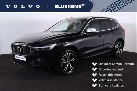 Used VOLVO XC60 Hybrid 2017 Ad 