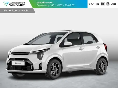 Annonce KIA PICANTO Essence 2024 d'occasion 