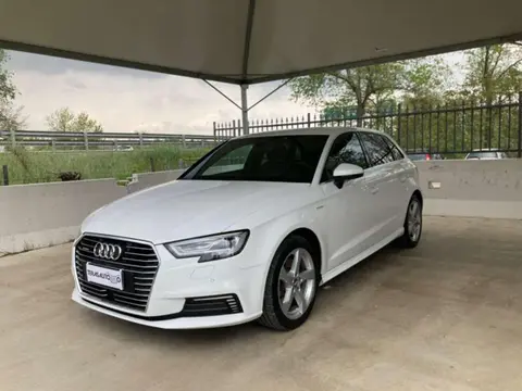 Used AUDI A3 Hybrid 2017 Ad 