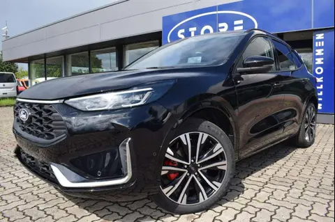 Annonce FORD KUGA Hybride 2024 d'occasion 