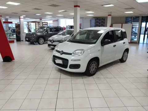 Used FIAT PANDA Hybrid 2021 Ad 