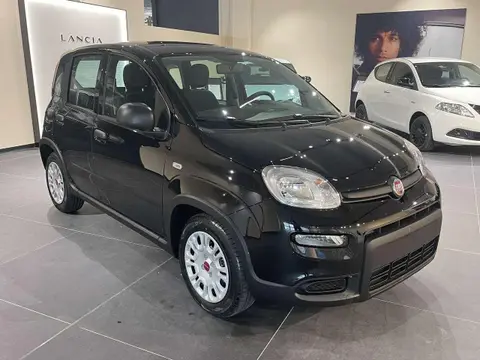 Annonce FIAT PANDA Hybride 2024 d'occasion 