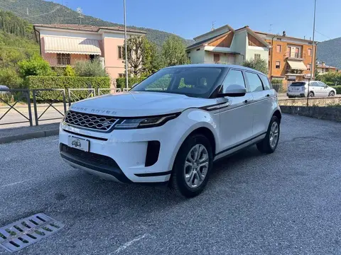 Used LAND ROVER RANGE ROVER EVOQUE Hybrid 2020 Ad 