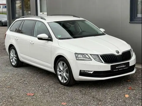 Annonce SKODA OCTAVIA Diesel 2019 d'occasion 