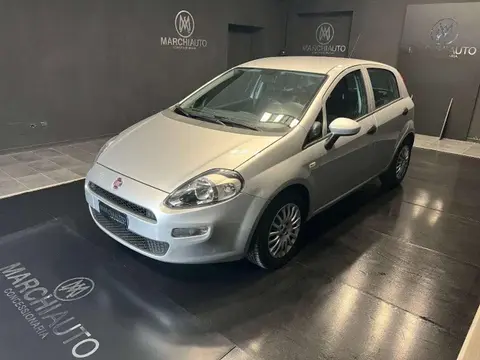 Used FIAT PUNTO Diesel 2017 Ad 