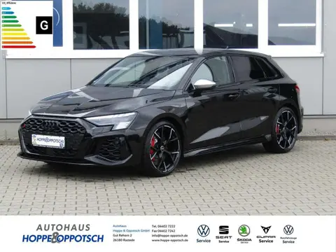 Used AUDI RS3 Petrol 2023 Ad Germany