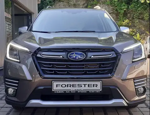 Annonce SUBARU FORESTER Essence 2024 d'occasion 