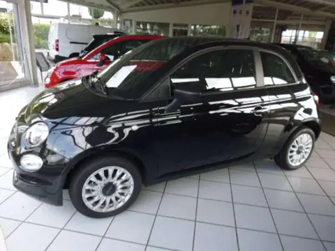 Used FIAT 500 Petrol 2023 Ad 