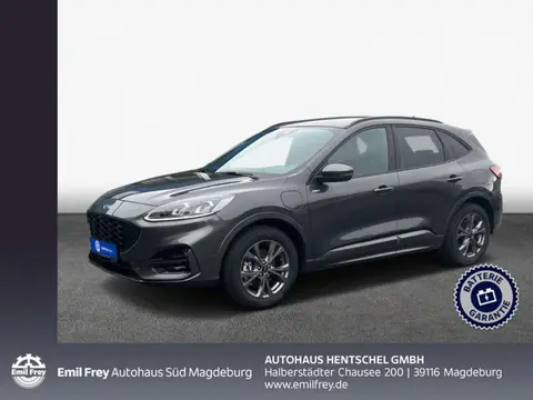 Annonce FORD KUGA Hybride 2021 d'occasion 