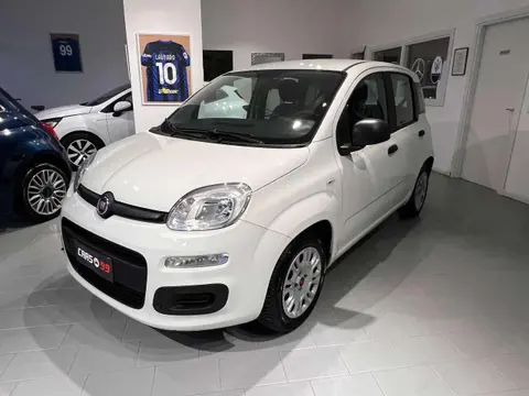 Annonce FIAT PANDA Hybride 2020 d'occasion 